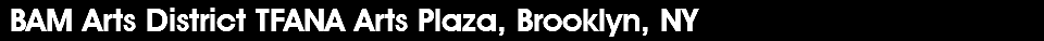  BAM Arts District TFANA Arts Plaza, Brooklyn, NY